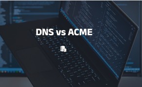 利用 DNS 应对 ACME 挑战